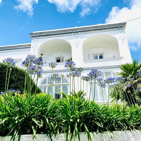 Guest house Garden Capri
