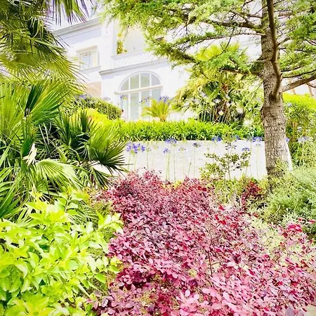 Guest house Garden Capri