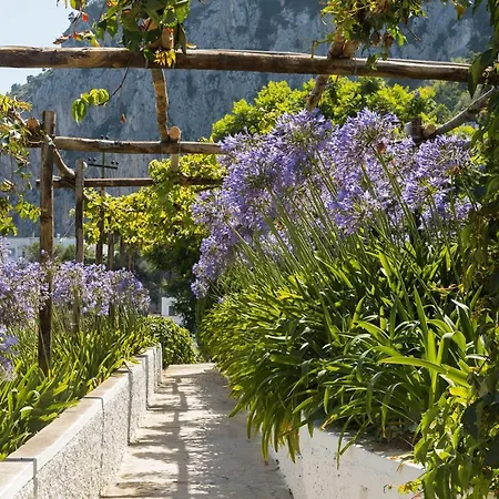 Guest house Garden *